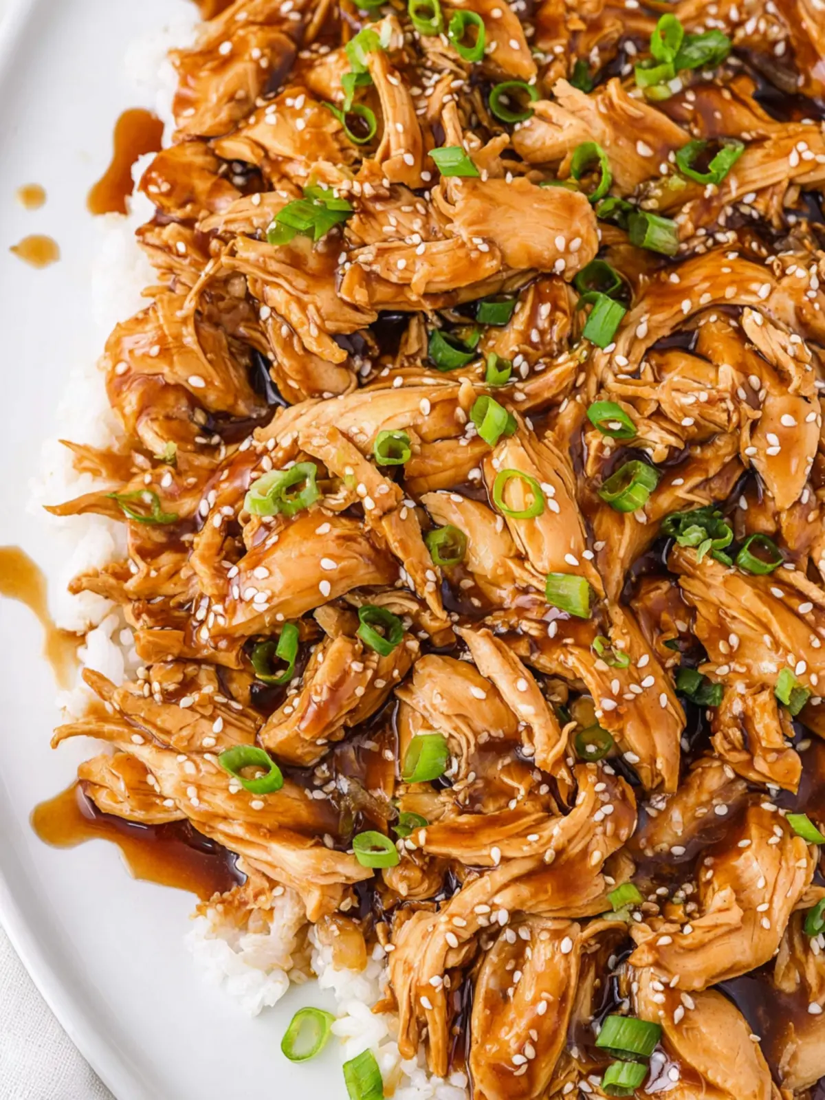 Slow Cooker Teriyaki Chicken